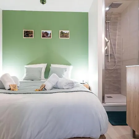 Les Hortillonnages_b&b Inn_centre Ville_terrasse_wifi_netflix شقة